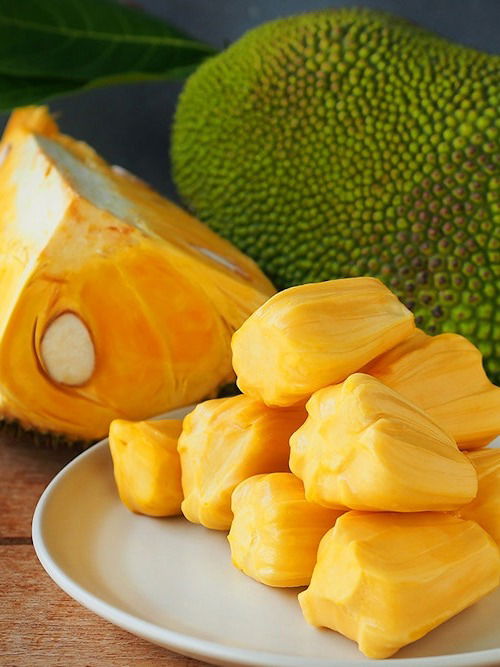 दररोज फणस खा आणि राहा तंदुरुस्त - Marathi News | दररोज फणस खा आणि राहा तंदुरुस्त | Latest Photos at Lokmat.com