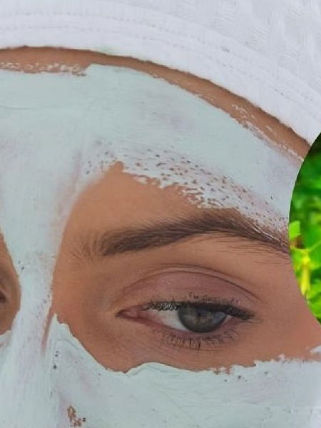 नॅचरल ग्लो मिळवण्यासाठी ट्राय करा गोकर्णाच्या फुलांची क्रीम - Marathi News | नॅचरल ग्लो मिळवण्यासाठी ट्राय करा गोकर्णाच्या फुलांची क्रीम | Latest Photos at Lokmat.com