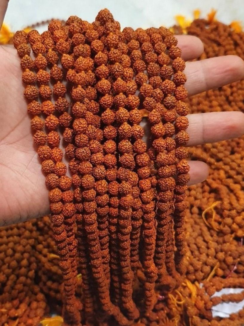 श्रावण: राशीनुसार धारण करा शुभ रुद्राक्ष - Marathi News | श्रावण: राशीनुसार धारण करा शुभ रुद्राक्ष | Latest Photos at Lokmat.com