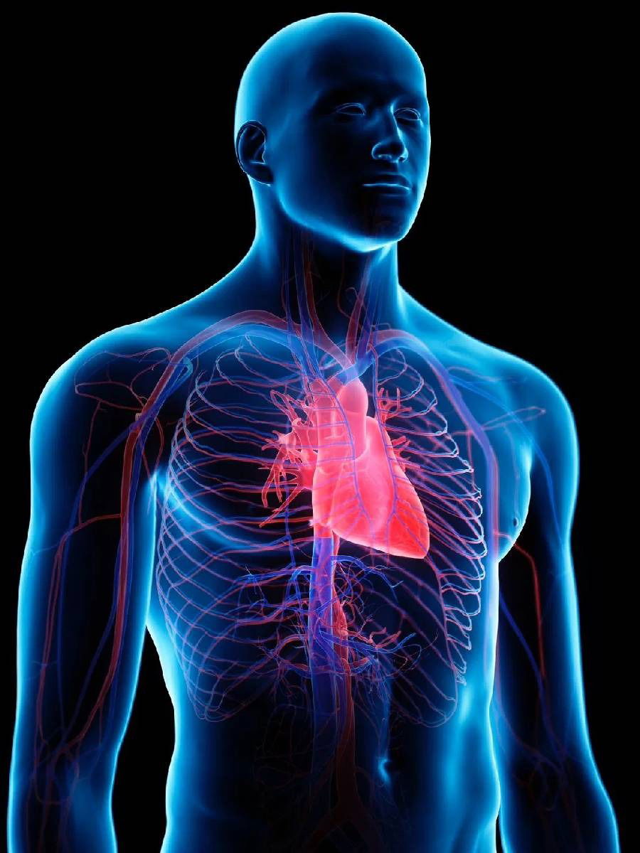 हिवाळ्यात हृदयाच्या आरोग्याची काळजी कशी घ्यावी? - Marathi News | हिवाळ्यात हृदयाच्या आरोग्याची काळजी कशी घ्यावी? | Latest Photos at Lokmat.com