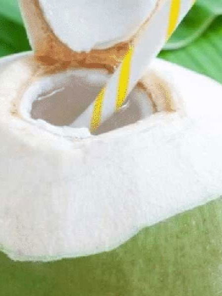 फक्त ७ दिवस चेहऱ्याला लावा शहाळ्याचे पाणी, त्वचा दिसेल सुंदर... - Marathi News | फक्त ७ दिवस चेहऱ्याला लावा शहाळ्याचे पाणी, त्वचा दिसेल सुंदर... | Latest Photos at Lokmat.com