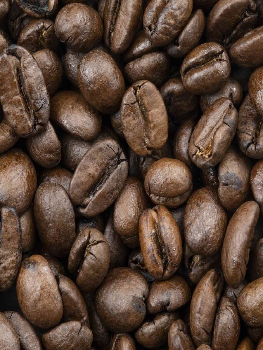 भारतात सर्वात आधी कॉफीची शेती कुठे सुरू झाली? - Marathi News | भारतात सर्वात आधी कॉफीची शेती कुठे सुरू झाली? | Latest Photos at Lokmat.com