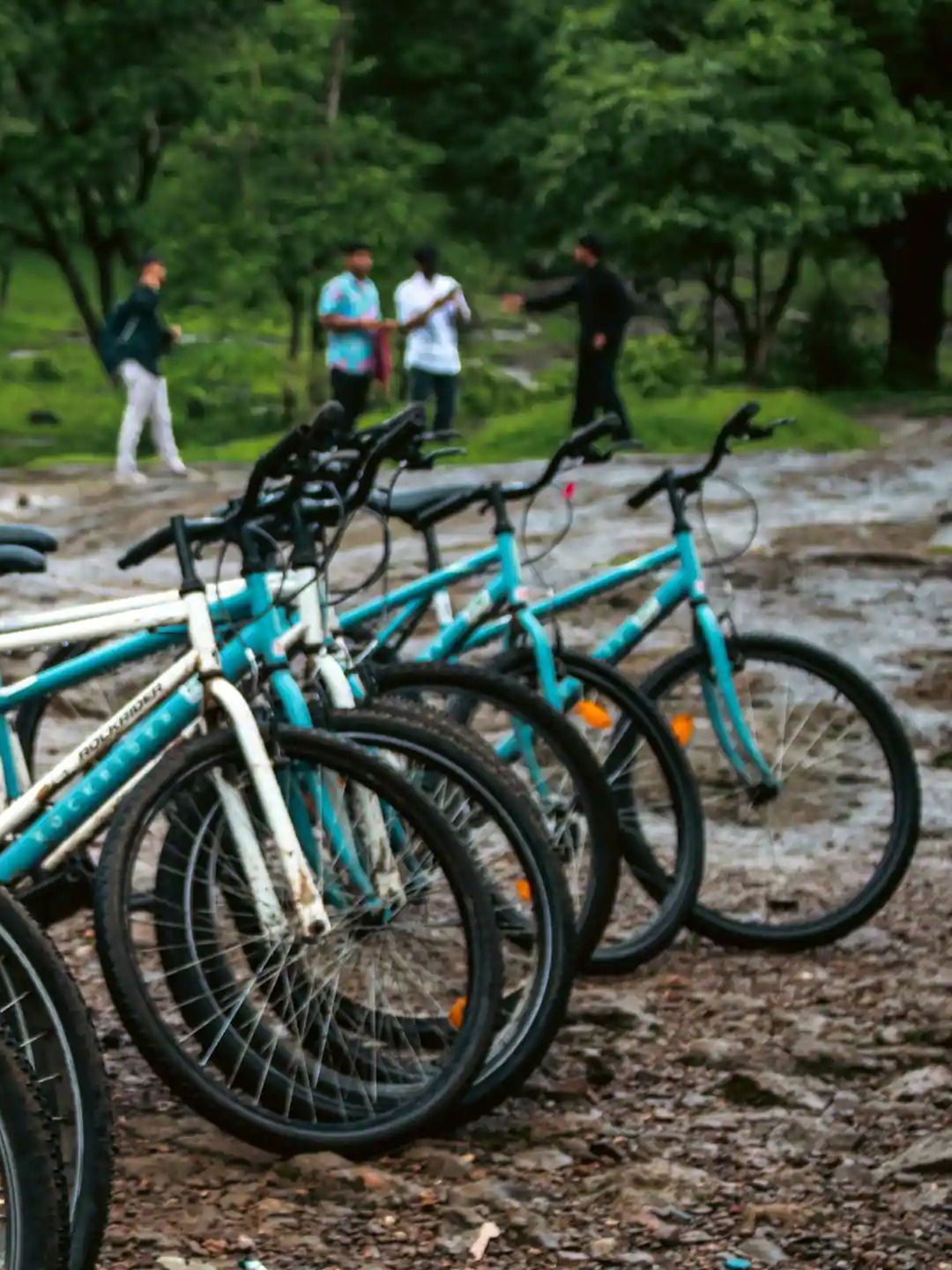 भारताच्या 'या' शहराला म्हणतात सायकल सिटी! - Marathi News | भारताच्या 'या' शहराला म्हणतात सायकल सिटी! | Latest Photos at Lokmat.com