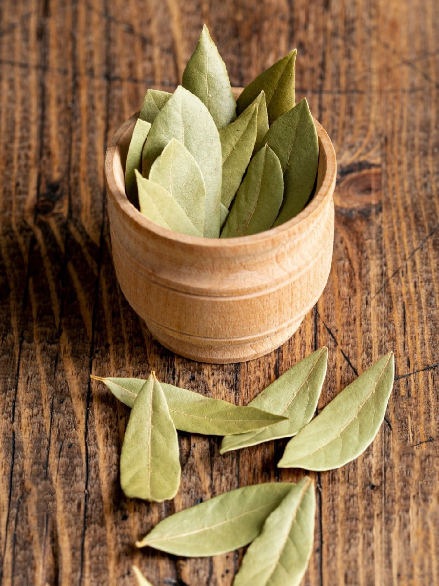 सर्दीपासून ते सांधेदुखीपर्यंत! अनेक आजारांवर गुणकारी आहे तमालपत्र - Marathi News | सर्दीपासून ते सांधेदुखीपर्यंत! अनेक आजारांवर गुणकारी आहे तमालपत्र | Latest Photos at Lokmat.com