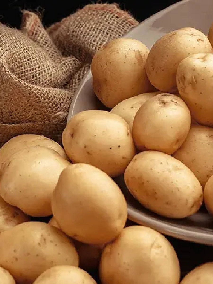 बटाट्याचं शास्त्रीय नाव काय? - Marathi News | बटाट्याचं शास्त्रीय नाव काय? | Latest Photos at Lokmat.com