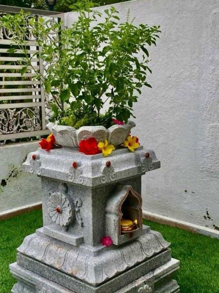 तुळशीजवळ नाणं ठेवण्याचे फायदे, नशीब उजळेल! जाणून घ्या, कसे...? - Marathi News | तुळशीजवळ नाणं ठेवण्याचे फायदे, नशीब उजळेल! जाणून घ्या, कसे...? | Latest Photos at Lokmat.com