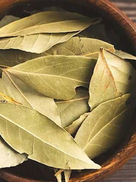 तमालपत्र खाण्याचे फायदे, आहारात नक्की असावे - Marathi News | तमालपत्र खाण्याचे फायदे, आहारात नक्की असावे | Latest Photos at Lokmat.com