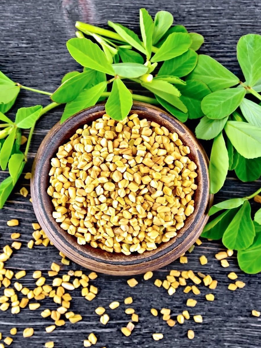 कडू मेथीचे ५ गोड फायदे - Marathi News | कडू मेथीचे ५ गोड फायदे | Latest Photos at Lokmat.com