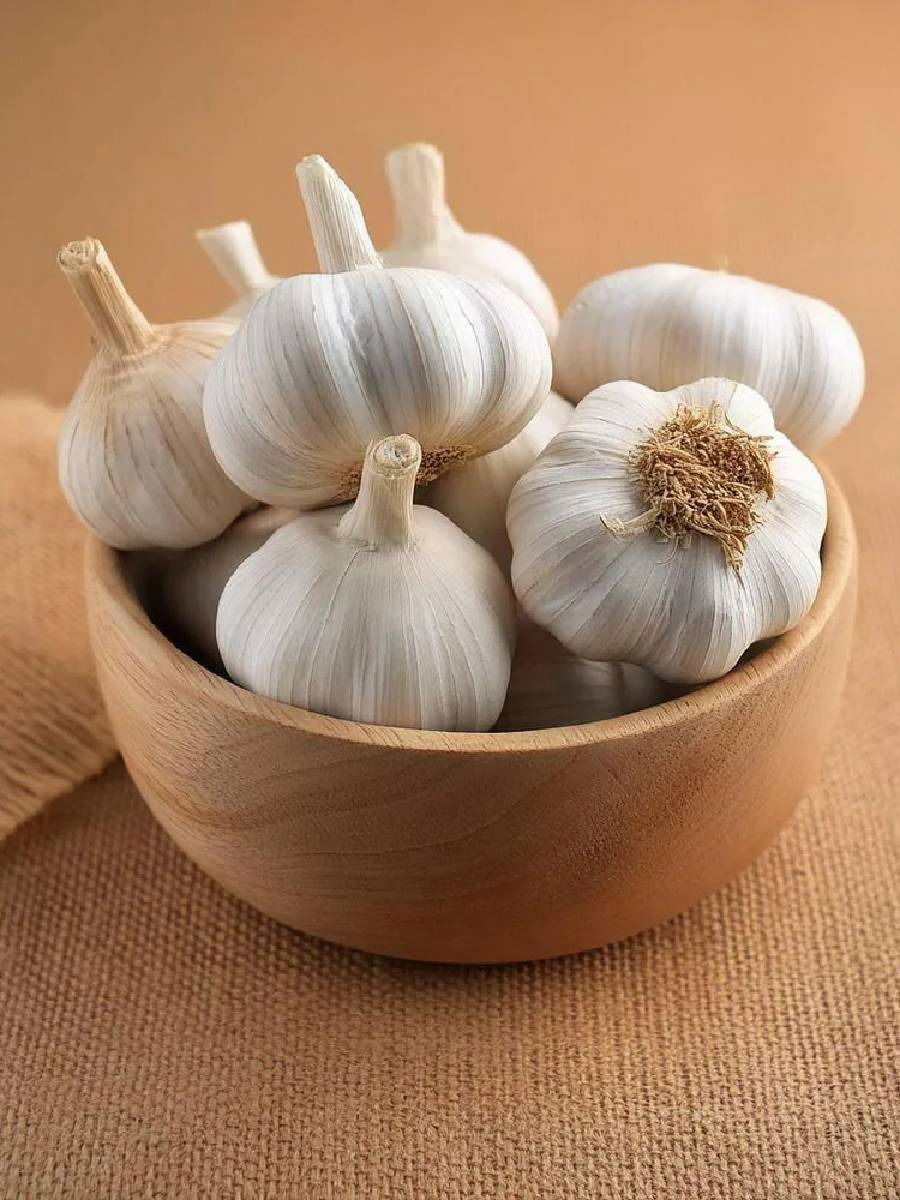 लसूण खाण्याचे अनेक फायदे, जाणून घ्या - Marathi News | लसूण खाण्याचे अनेक फायदे, जाणून घ्या | Latest Photos at Lokmat.com