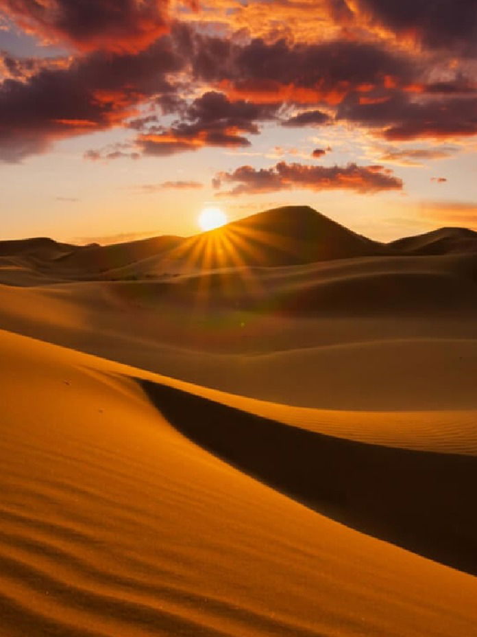 सहारा वाळवंट एकेकाळी होतं हिरवगार जंगल? - Marathi News | सहारा वाळवंट एकेकाळी होतं हिरवगार जंगल? | Latest Photos at Lokmat.com