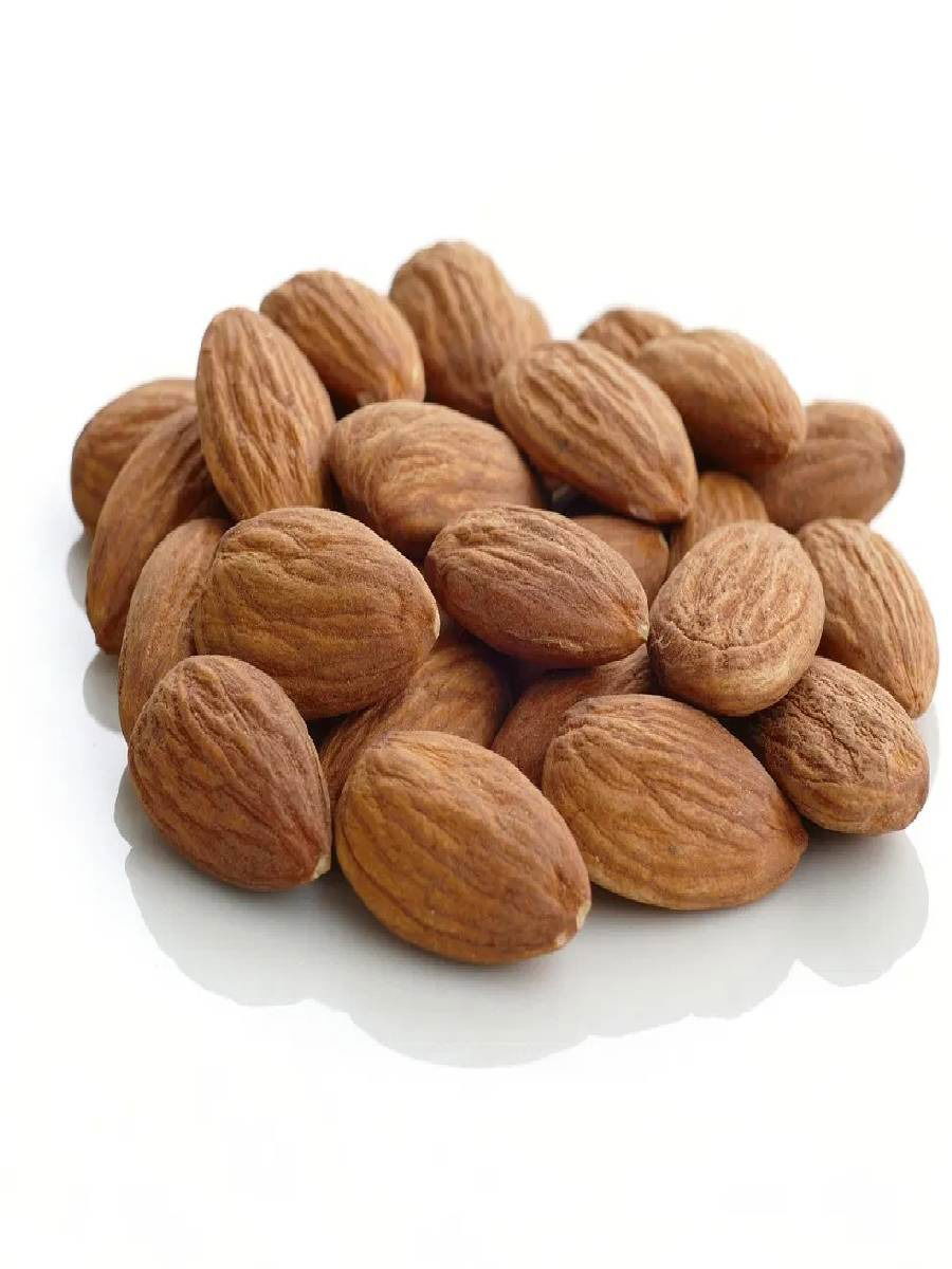 हिवाळा आला, दिवसातून किती बदाम खाऊ शकता? जाणून घ्या - Marathi News | हिवाळा आला, दिवसातून किती बदाम खाऊ शकता? जाणून घ्या | Latest Photos at Lokmat.com