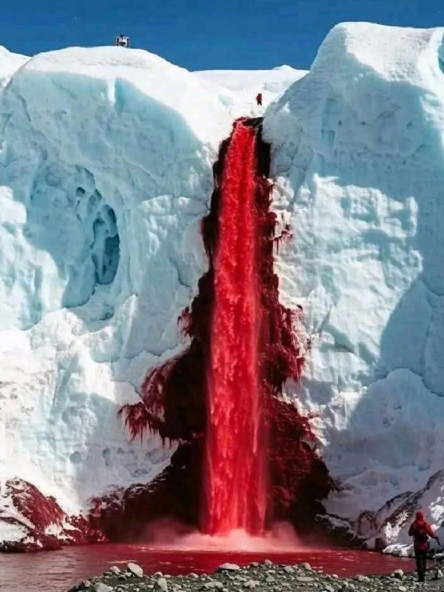 अंटार्क्टिकाचा ‘ब्लड फॉल्स’ - Marathi News | अंटार्क्टिकाचा ‘ब्लड फॉल्स’ | Latest Photos at Lokmat.com