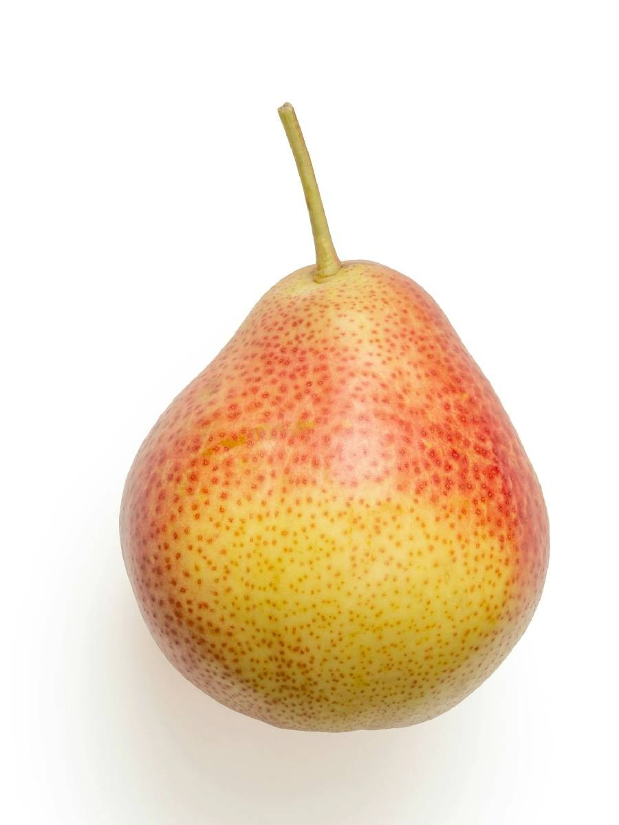 नाशपाती खाल्ल्याने हे आरोग्यदायी फायदे मिळतात - Marathi News | नाशपाती खाल्ल्याने हे आरोग्यदायी फायदे मिळतात | Latest Photos at Lokmat.com