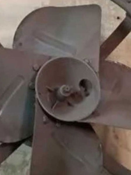 चिकट झालेला एक्झॉस्ट फॅन चुटकीसरशी स्वच्छ करण्याचा उपाय - Marathi News | चिकट झालेला एक्झॉस्ट फॅन चुटकीसरशी स्वच्छ करण्याचा उपाय | Latest Photos at Lokmat.com