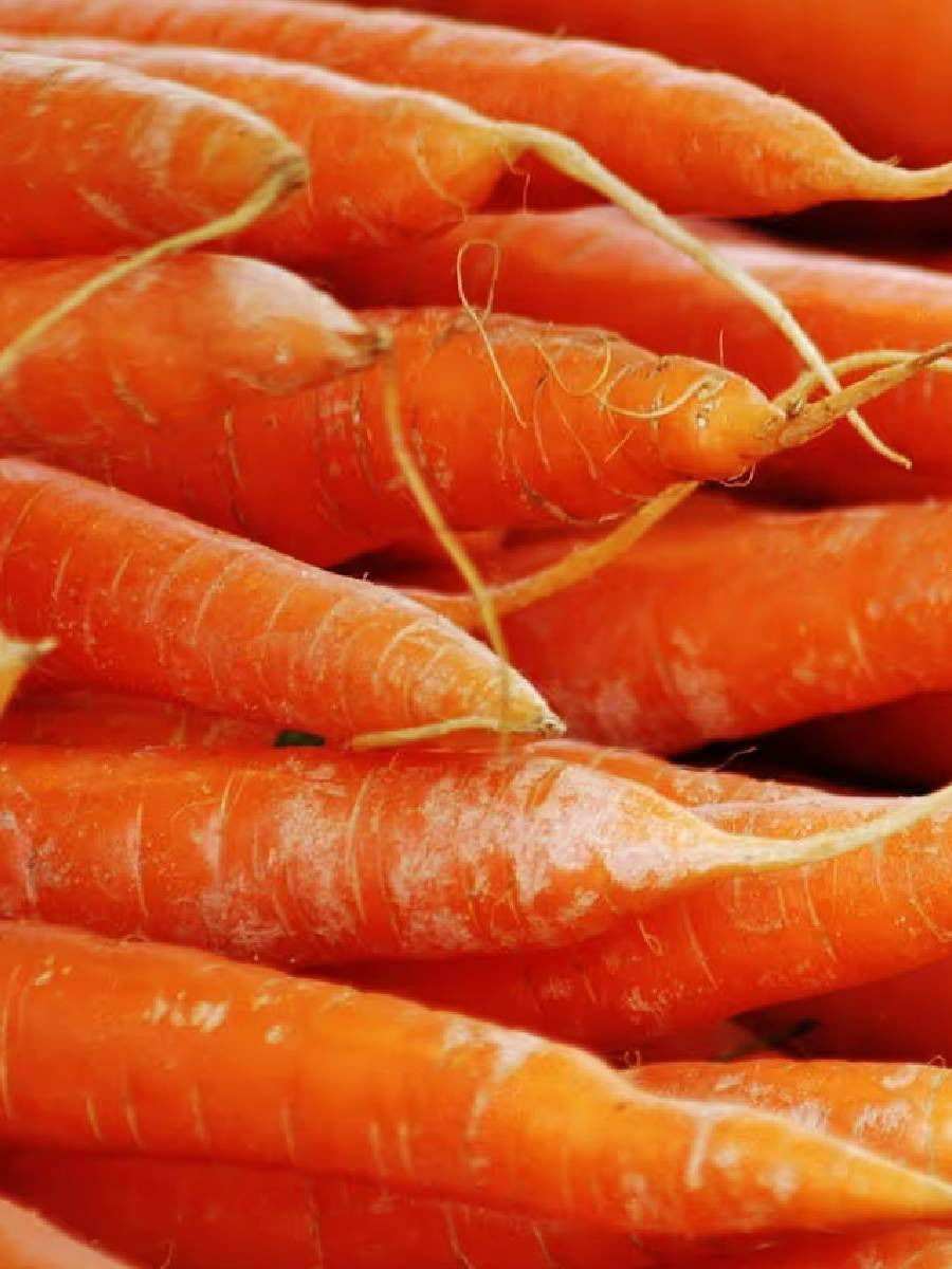 हिवाळ्यात भरपूर गाजर खा, तुम्हाला प्रचंड फायदे होतील - Marathi News | हिवाळ्यात भरपूर गाजर खा, तुम्हाला प्रचंड फायदे होतील | Latest Photos at Lokmat.com