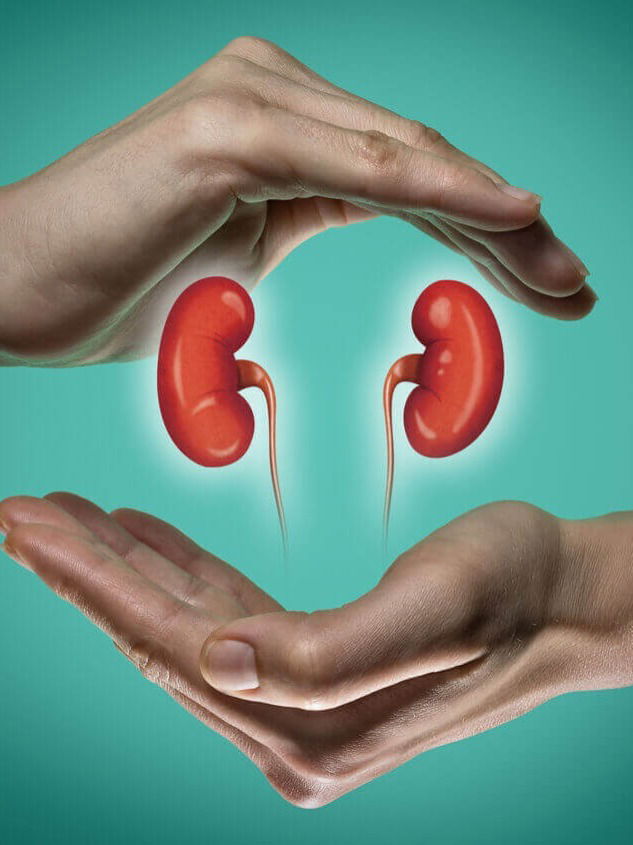 किडनीला हानी पोहोचवणाऱ्या ५ सवयी - Marathi News | किडनीला हानी पोहोचवणाऱ्या ५ सवयी | Latest Photos at Lokmat.com