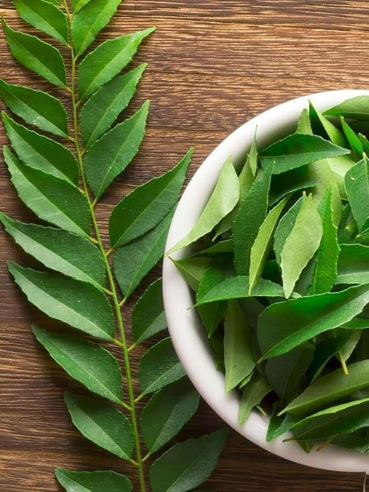 केसगळती रोखण्यासाठी रोज सकाळी रिकाम्या पोटी खा हे पान - Marathi News | केसगळती रोखण्यासाठी रोज सकाळी रिकाम्या पोटी खा हे पान | Latest Photos at Lokmat.com