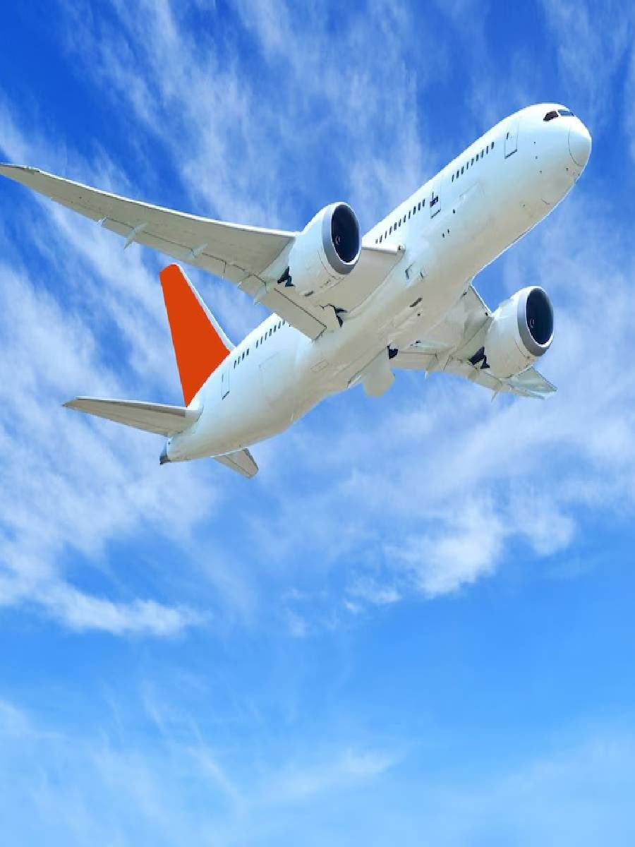 हे फळ विमानात घेऊन जाण्यासाठी आहे बंदी - Marathi News | हे फळ विमानात घेऊन जाण्यासाठी आहे बंदी | Latest Photos at Lokmat.com