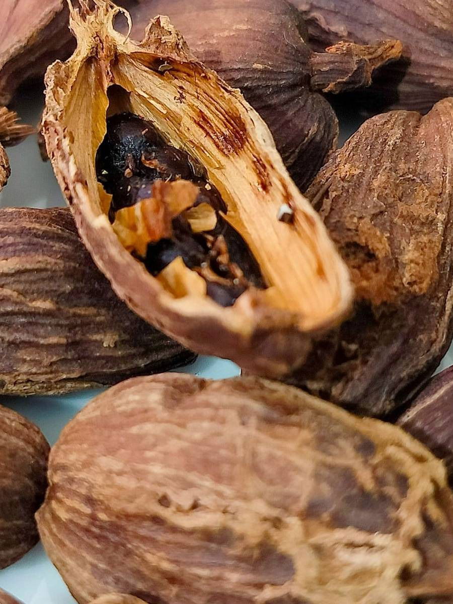 काळ्या वेलचीचे जबरदस्त फायदे; जाणून घ्या - Marathi News | काळ्या वेलचीचे जबरदस्त फायदे; जाणून घ्या | Latest Photos at Lokmat.com