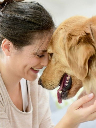 माणसं केव्हापासून अन् का पाळतात कुत्रं? - Marathi News | माणसं केव्हापासून अन् का पाळतात कुत्रं? | Latest Photos at Lokmat.com