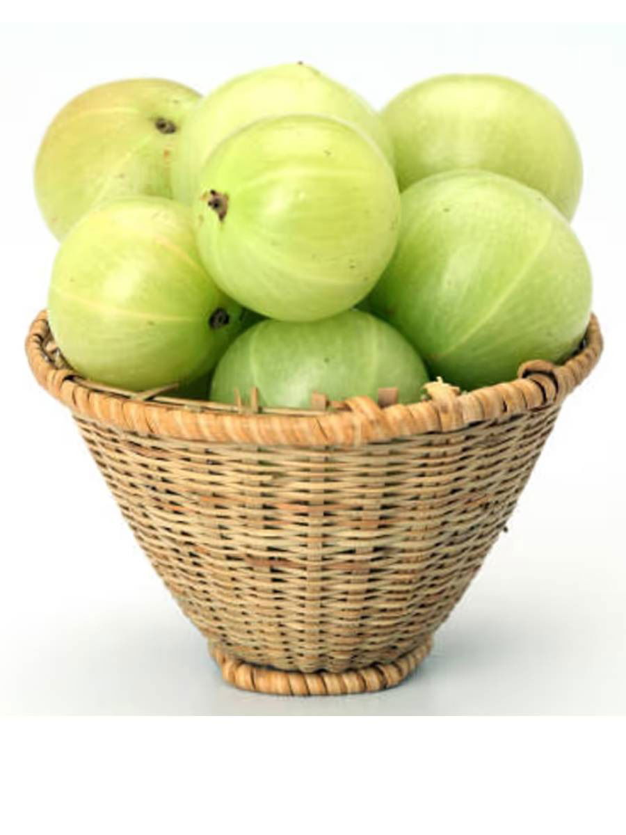 दररोज फक्त एक आवळा रिकाम्या पोटी खा, जबरदस्त फायदे मिळतील - Marathi News | दररोज फक्त एक आवळा रिकाम्या पोटी खा, जबरदस्त फायदे मिळतील | Latest Photos at Lokmat.com