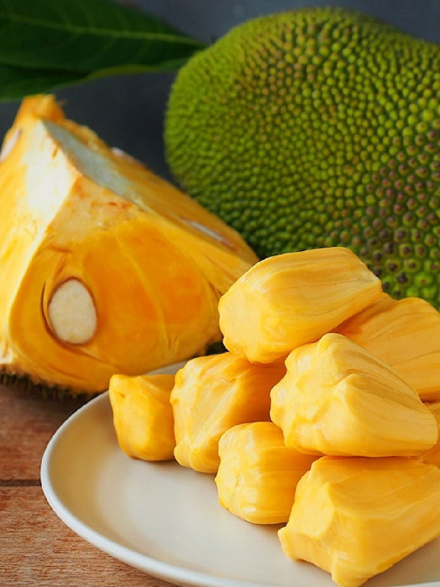 फणसाच्या बियांचे भन्नाट फायदे; शारीरिक तक्रारी होतील दूर - Marathi News | फणसाच्या बियांचे भन्नाट फायदे; शारीरिक तक्रारी होतील दूर | Latest Photos at Lokmat.com