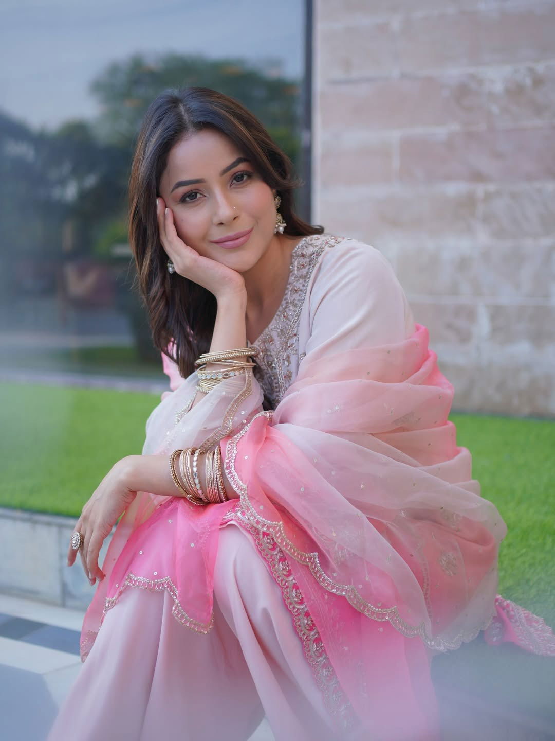 शहनाझ गिल किती कोटींची मालकीण? शहनाझ गिल किती कोटींची मालकीण?