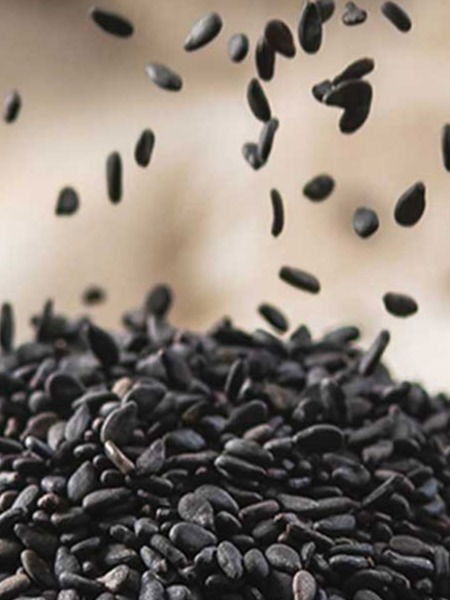 हिवाळ्यात काळे तीळ आणि गूळ खाण्याचे अनेक फायदे... - Marathi News | हिवाळ्यात काळे तीळ आणि गूळ खाण्याचे अनेक फायदे... | Latest Photos at Lokmat.com