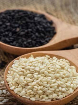 दररोज तीळ खा आणि राहा फिट - Marathi News | दररोज तीळ खा आणि राहा फिट | Latest Photos at Lokmat.com