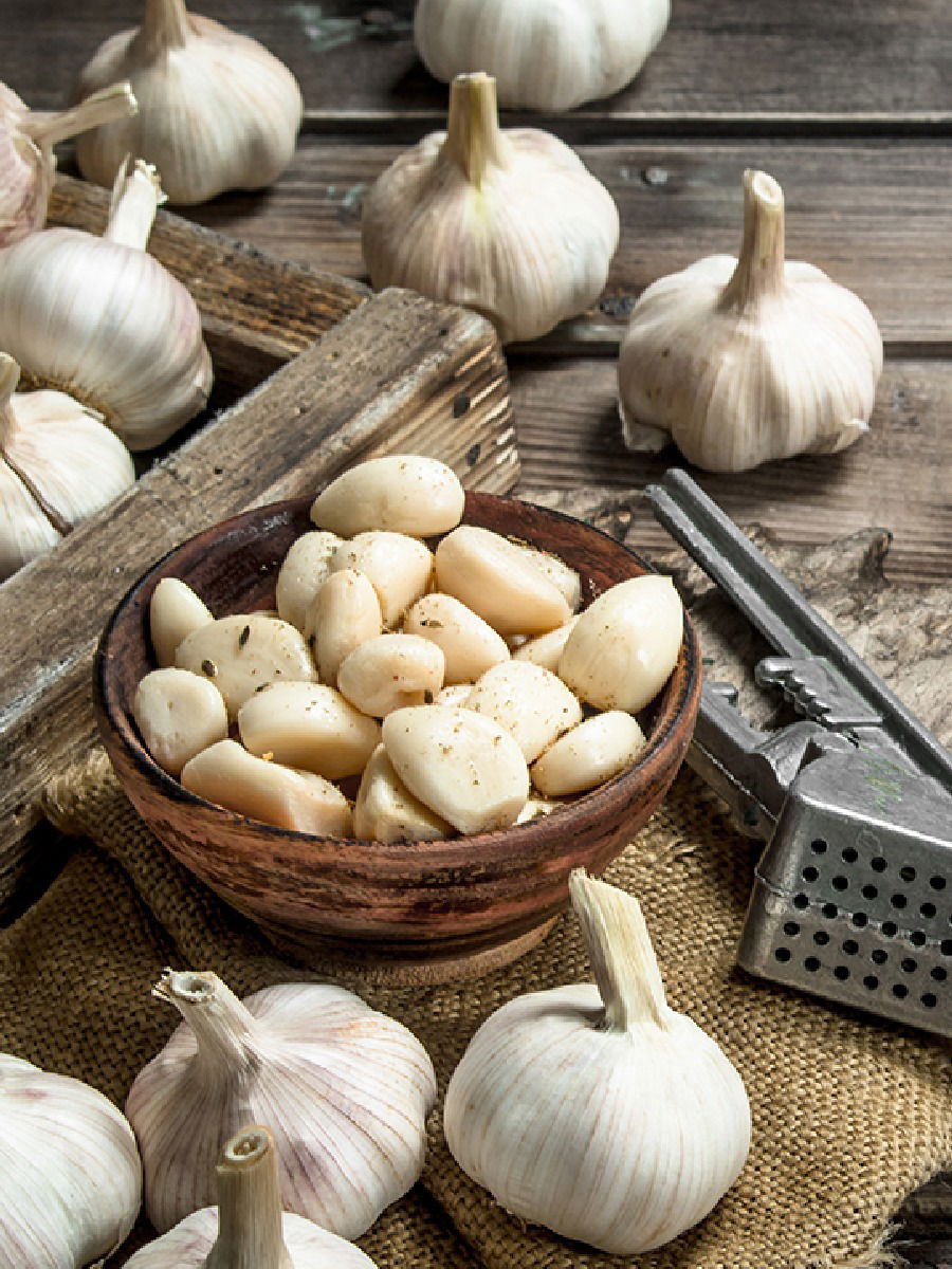 प्रमाणापेक्षा जास्त लसूण खाण्याचे साईड इफेक्ट्स - Marathi News | प्रमाणापेक्षा जास्त लसूण खाण्याचे साईड इफेक्ट्स | Latest Photos at Lokmat.com