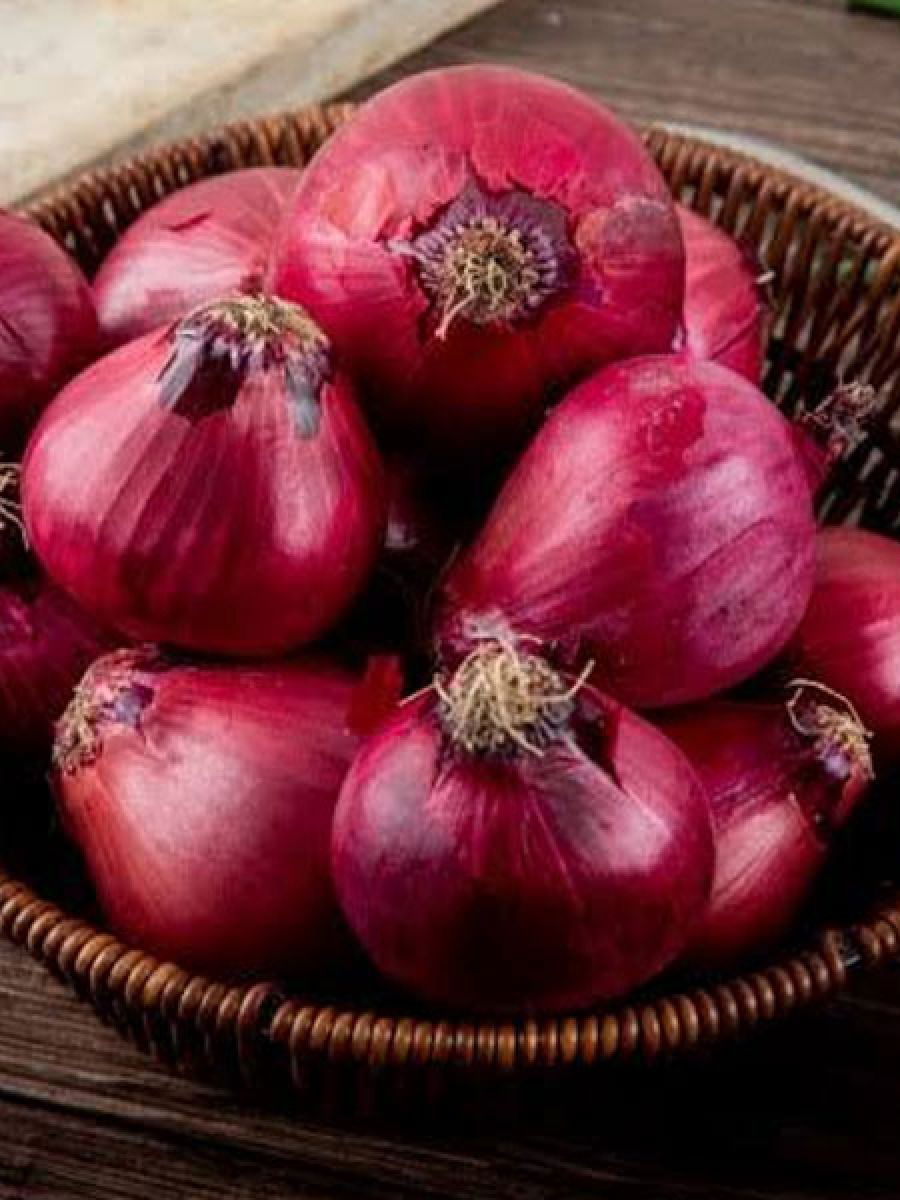 कांद्यामुळे येईल रक्तदाब नियंत्रणात, जाणून घ्या फायदे - Marathi News | कांद्यामुळे येईल रक्तदाब नियंत्रणात, जाणून घ्या फायदे | Latest Photos at Lokmat.com