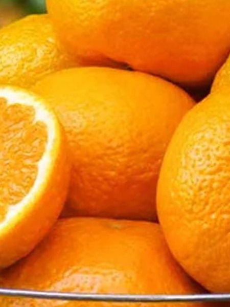 संत्री पौष्टिक असली तरी 'या' लोकांनी मुळीच खाऊ नये.... - Marathi News | संत्री पौष्टिक असली तरी 'या' लोकांनी मुळीच खाऊ नये.... | Latest Photos at Lokmat.com संत्री पौष्टिक असली तरी 'या' लोकांनी मुळीच खाऊ नये.... - Marathi News | संत्री पौष्टिक असली तरी 'या' लोकांनी मुळीच खाऊ नये.... | Latest Photos at Lokmat.com