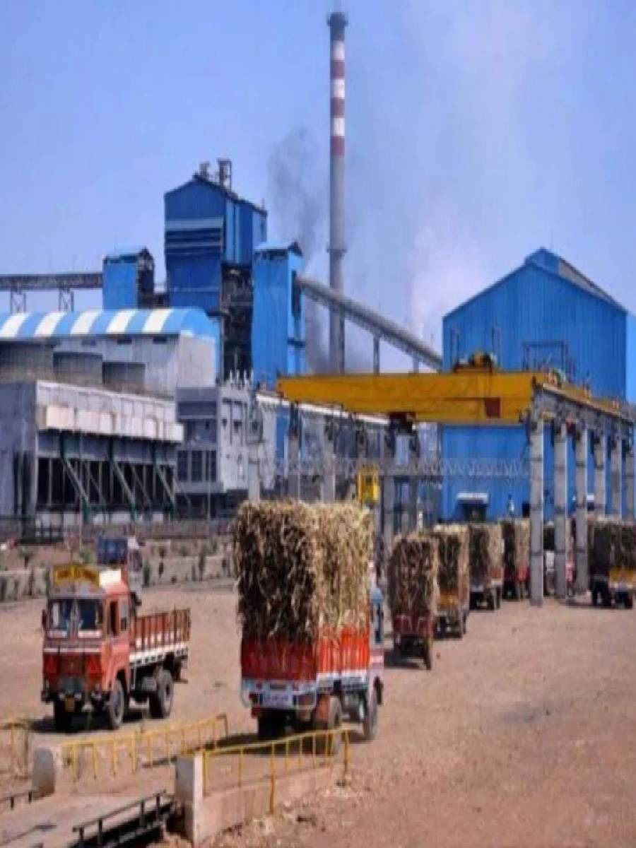 कारखान्यात साखर तयार कशी होते? प्रक्रिया जाणून घ्या - Marathi News | कारखान्यात साखर तयार कशी होते? प्रक्रिया जाणून घ्या | Latest Photos at Lokmat.com