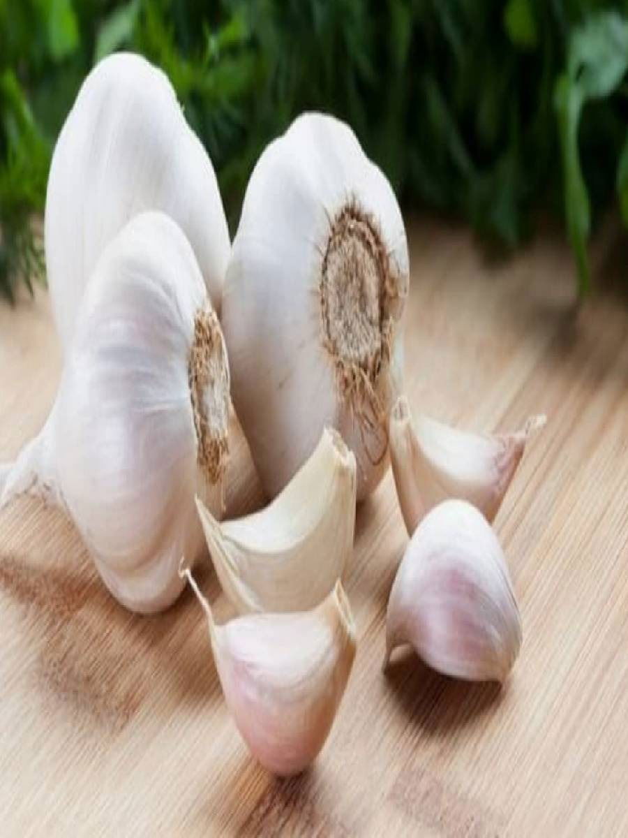 रोज झोपण्यापूर्वी भाजलेला लसूण खा, जबरदस्त फायदे होतील - Marathi News | रोज झोपण्यापूर्वी भाजलेला लसूण खा, जबरदस्त फायदे होतील | Latest Photos at Lokmat.com