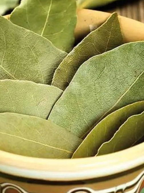 तमालपत्राचे कधीही न ऐकलेले ७ भन्नाट फायदे... - Marathi News | तमालपत्राचे कधीही न ऐकलेले ७ भन्नाट फायदे... | Latest Photos at Lokmat.com तमालपत्राचे कधीही न ऐकलेले ७ भन्नाट फायदे... - Marathi News | तमालपत्राचे कधीही न ऐकलेले ७ भन्नाट फायदे... | Latest Photos at Lokmat.com