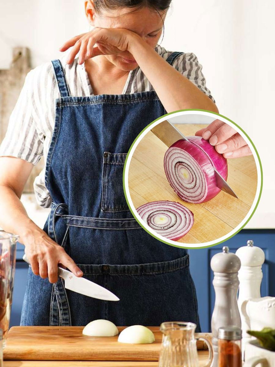 कांदा कापताना डोळ्यातून पाण्याचा धारा? - Marathi News | कांदा कापताना डोळ्यातून पाण्याचा धारा? | Latest Photos at Lokmat.com