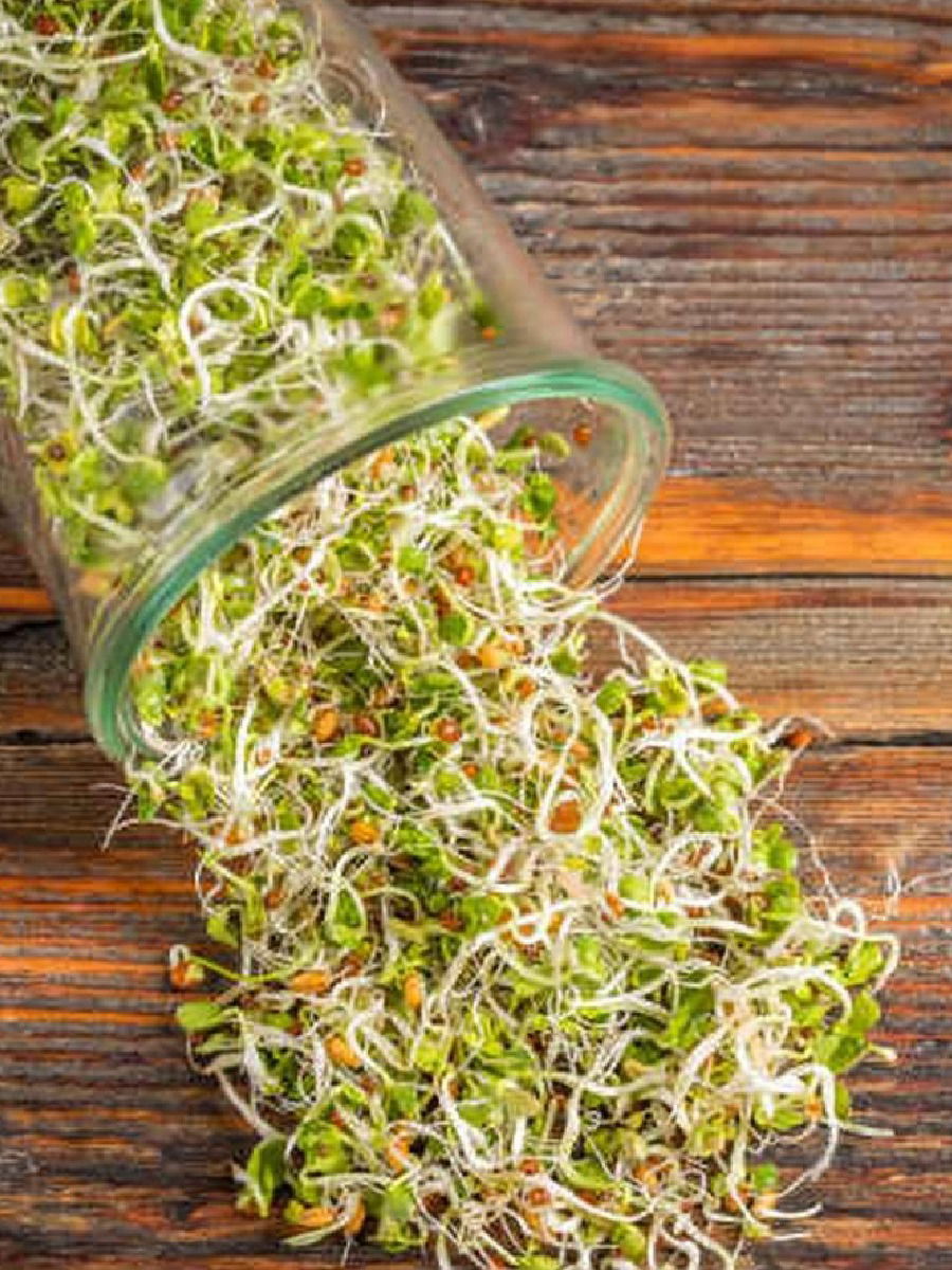 मोड आलेले कडधान्य खाण्याचे फायदे - Marathi News | मोड आलेले कडधान्य खाण्याचे फायदे | Latest Photos at Lokmat.com