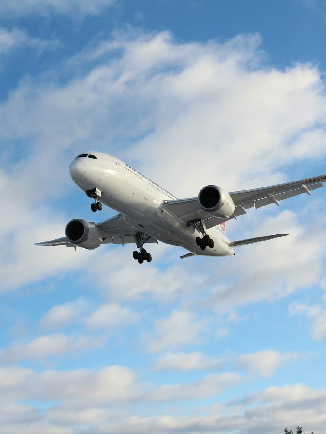 विमानात चुकूनही घेऊन जाता येत नाही 'हे' फळ! - Marathi News | विमानात चुकूनही घेऊन जाता येत नाही 'हे' फळ! | Latest Photos at Lokmat.com