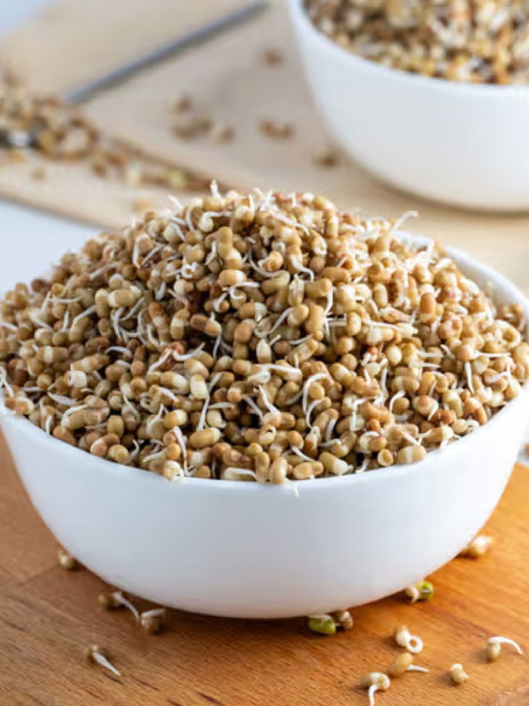 अनेक आजरांवर गुणकारी आहे मटकी, जाणून घ्या फायदे - Marathi News | अनेक आजरांवर गुणकारी आहे मटकी, जाणून घ्या फायदे | Latest Photos at Lokmat.com