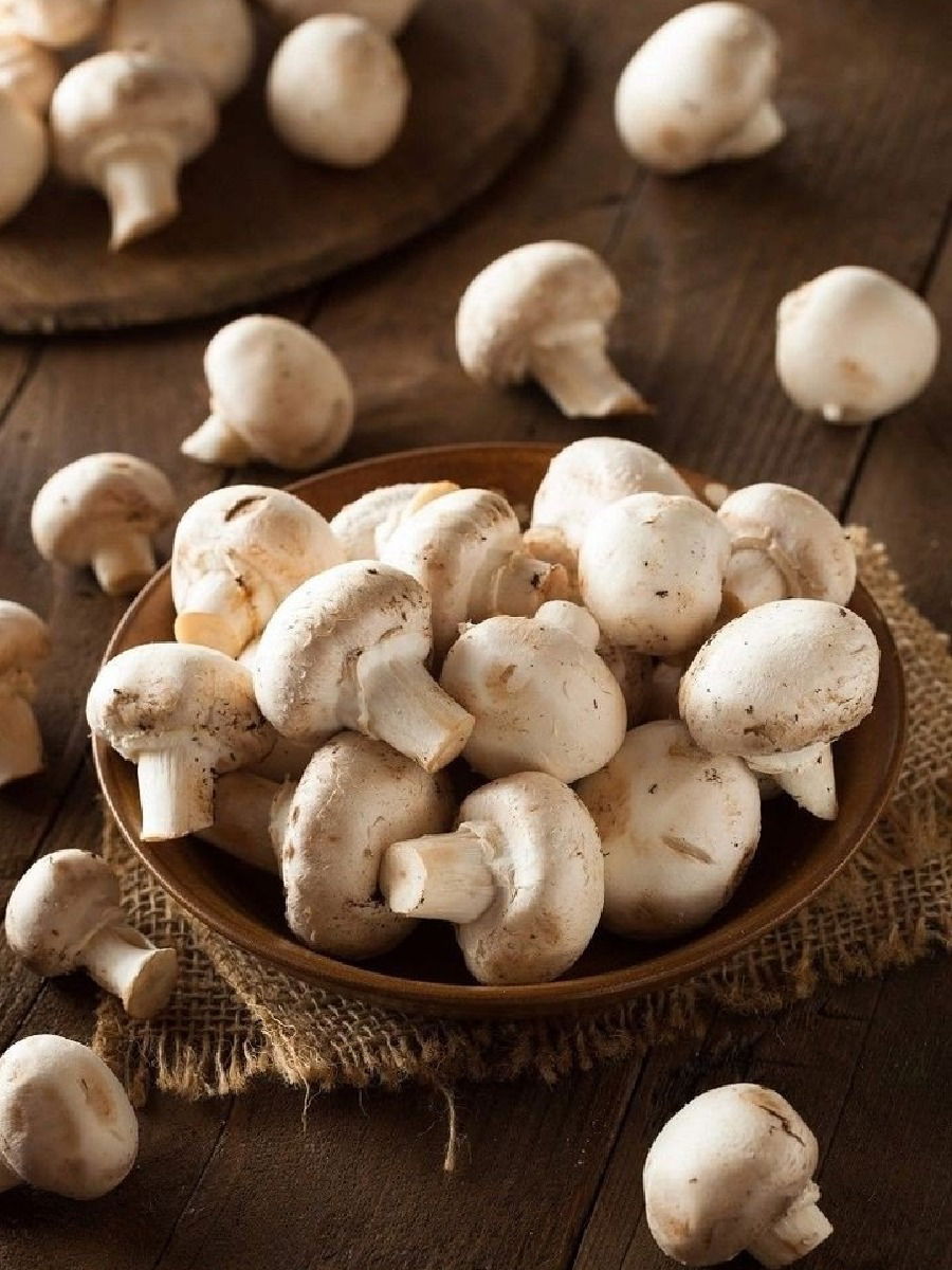 नैराश्य दूर करण्यासाठी खा मशरुम, आहेत अनेक फायदे - Marathi News | नैराश्य दूर करण्यासाठी खा मशरुम, आहेत अनेक फायदे | Latest Photos at Lokmat.com