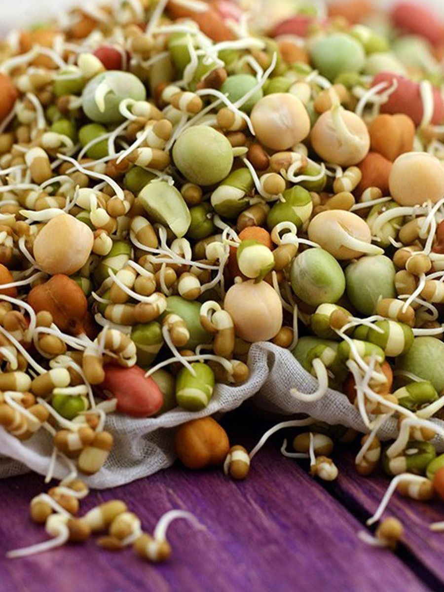 मोड आलेली कडधान्ये का खावीत? - Marathi News | मोड आलेली कडधान्ये का खावीत? | Latest Photos at Lokmat.com