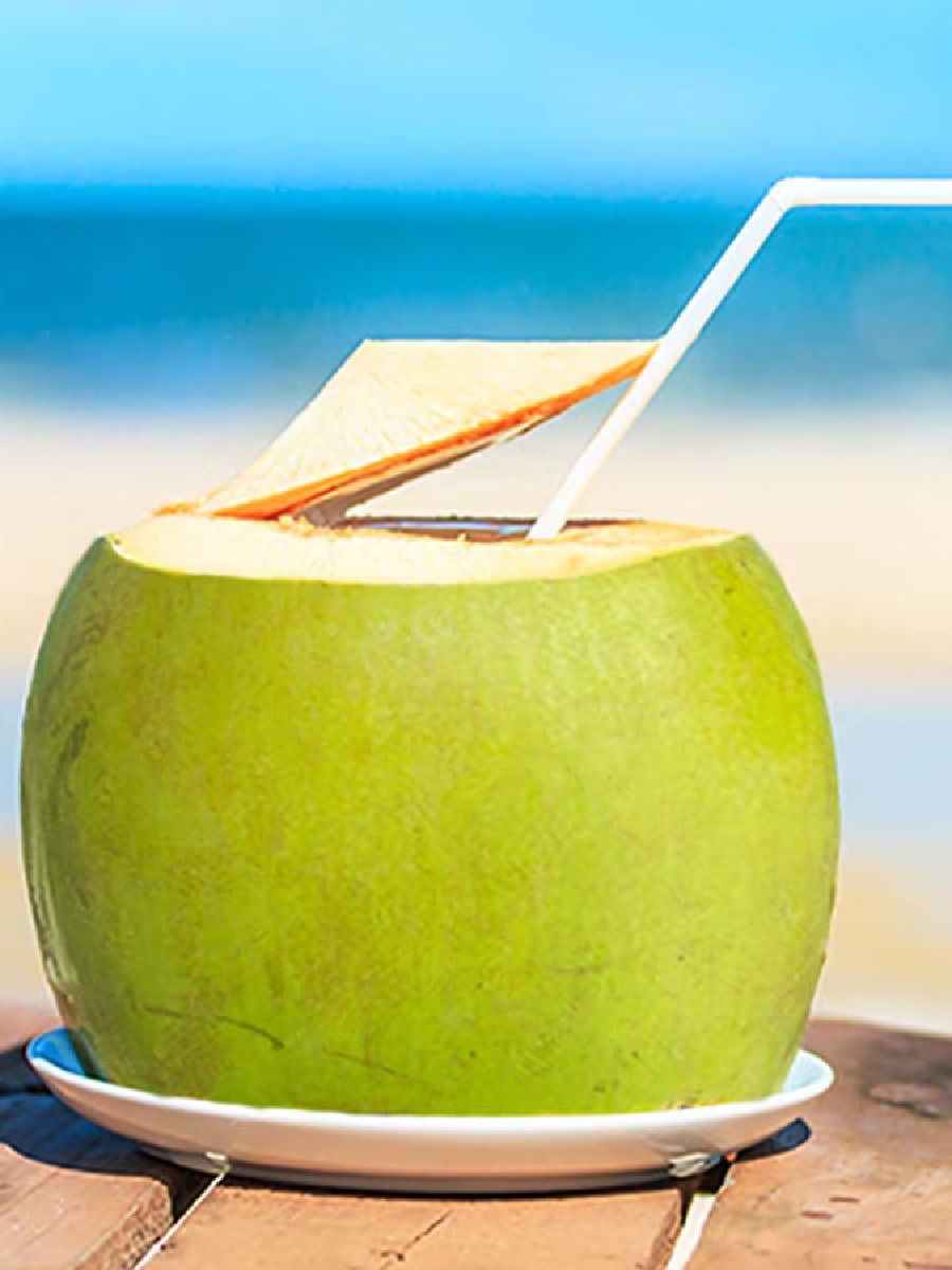 नारळ पाण्याचं सेवन करतांना चुकूनही करु नका 'या' गोष्टींकडे कानाडोळा - Marathi News | नारळ पाण्याचं सेवन करतांना चुकूनही करु नका 'या' गोष्टींकडे कानाडोळा | Latest Photos at Lokmat.com