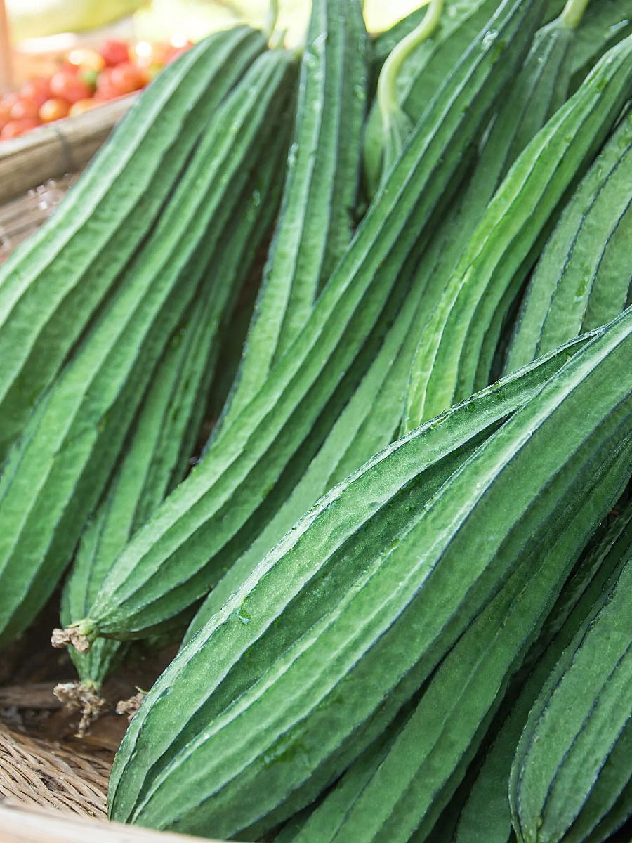 दोडक्याची भाजी खा अन् एनीमियासारख्या त्रासाला ठेवा दूर - Marathi News | दोडक्याची भाजी खा अन् एनीमियासारख्या त्रासाला ठेवा दूर | Latest Photos at Lokmat.com