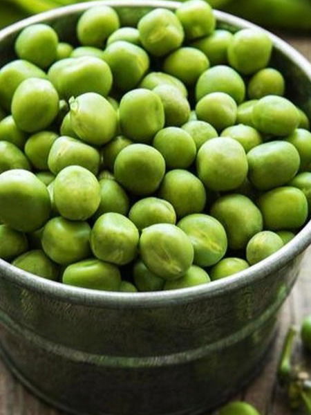 आरोग्याच्या 'या' तक्रारी असतील तर मटार खाणे पडेल महागात... - Marathi News | आरोग्याच्या 'या' तक्रारी असतील तर मटार खाणे पडेल महागात... | Latest Photos at Lokmat.com आरोग्याच्या 'या' तक्रारी असतील तर मटार खाणे पडेल महागात... - Marathi News | आरोग्याच्या 'या' तक्रारी असतील तर मटार खाणे पडेल महागात... | Latest Photos at Lokmat.com