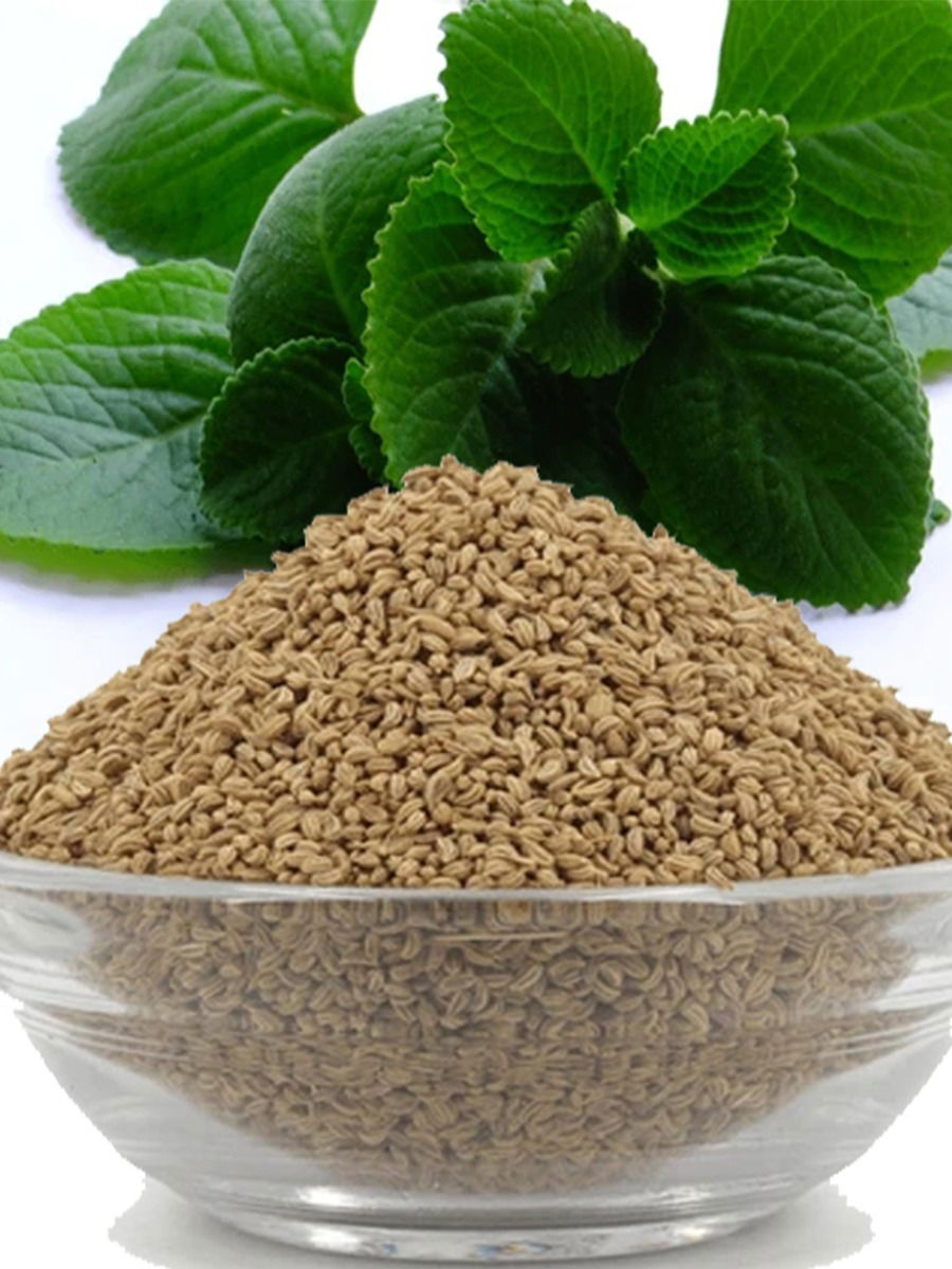 तुम्हाला 'पानांचा ओवा' ही वनस्पती माहित आहे का? - Marathi News | तुम्हाला 'पानांचा ओवा' ही वनस्पती माहित आहे का? | Latest Photos at Lokmat.com