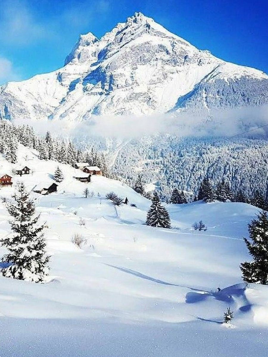 अंटार्टिकात किती पाऊस पडताे? - Marathi News | अंटार्टिकात किती पाऊस पडताे? | Latest Photos at Lokmat.com