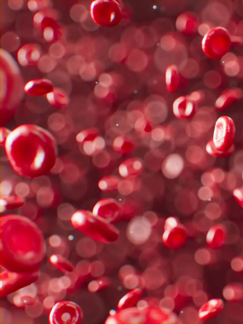 रक्ताचा रंग लाल का असतो? तुम्हाला माहितेय? - Marathi News | रक्ताचा रंग लाल का असतो? तुम्हाला माहितेय? | Latest Photos at Lokmat.com