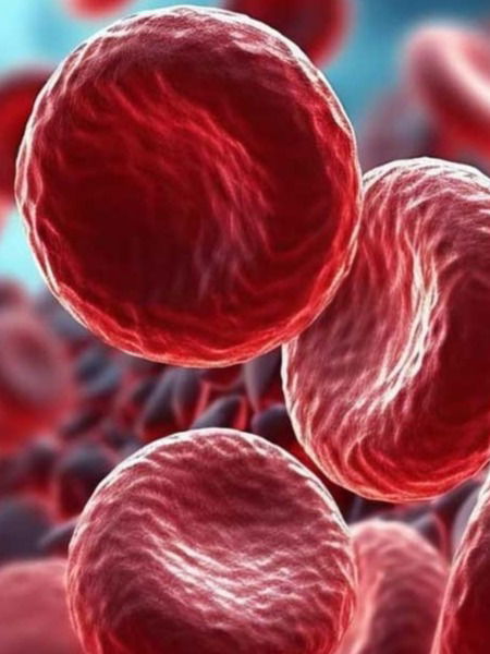 हिमाेग्लोबिन झटपट वाढवून भरपूर एनर्जी देणारे ५ पदार्थ - Marathi News | हिमाेग्लोबिन झटपट वाढवून भरपूर एनर्जी देणारे ५ पदार्थ | Latest Photos at Lokmat.com