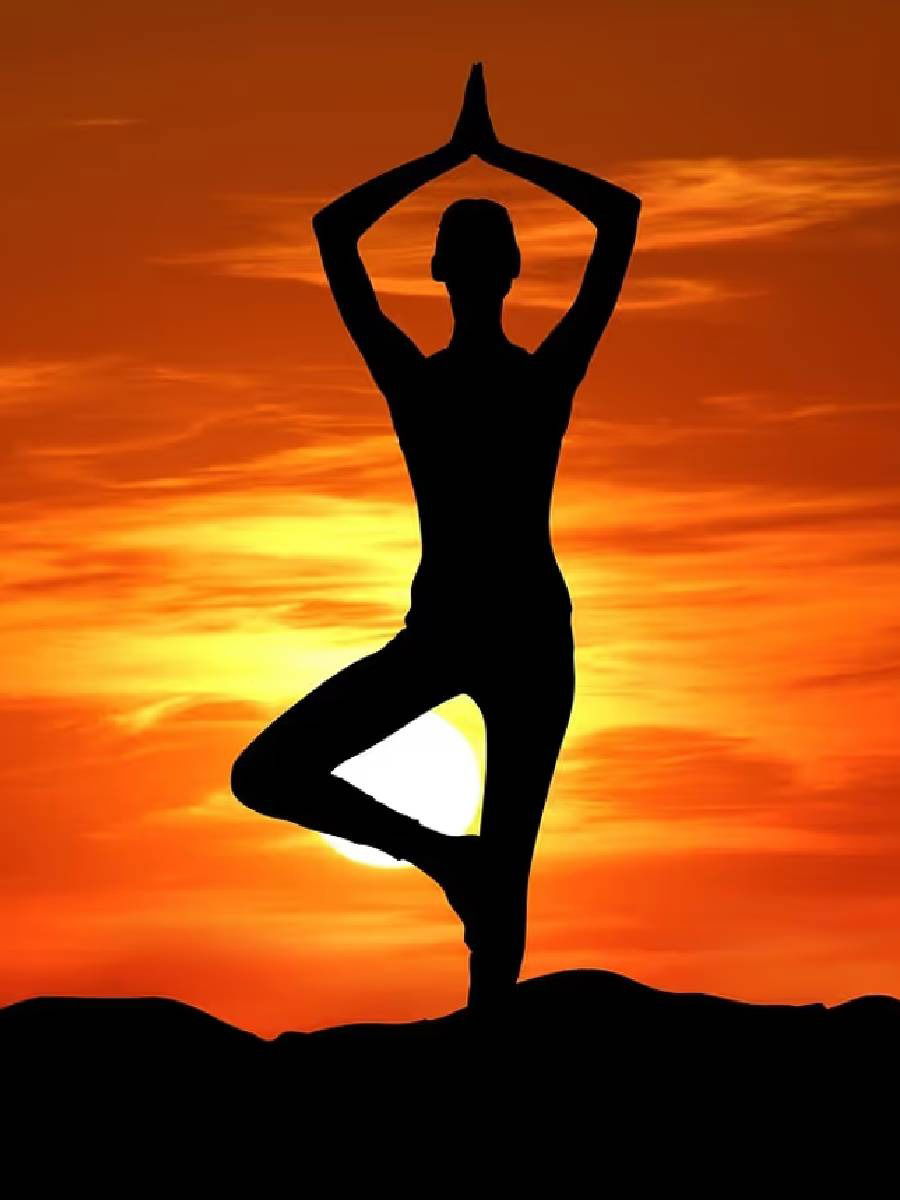 चरबी कमी करण्यासाठी ही ५ योगासने करा - Marathi News | चरबी कमी करण्यासाठी ही ५ योगासने करा | Latest Photos at Lokmat.com