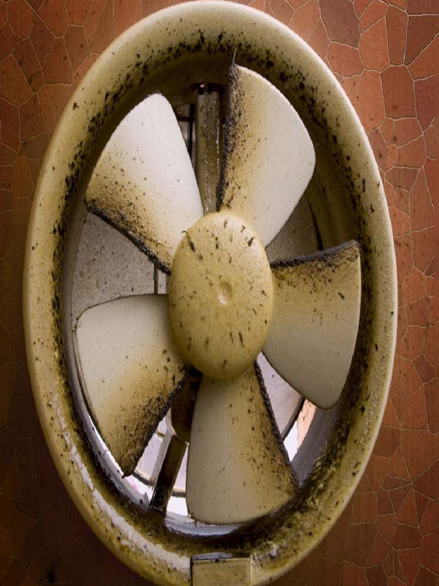 स्वयंपाक घरातील एग्जॉस्ट फॅन करा मिनिटात चकाचक, तेलकट डागही होतील दूर - Marathi News | स्वयंपाक घरातील एग्जॉस्ट फॅन करा मिनिटात चकाचक, तेलकट डागही होतील दूर | Latest Photos at Lokmat.com